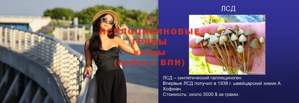 шишки Арсеньев