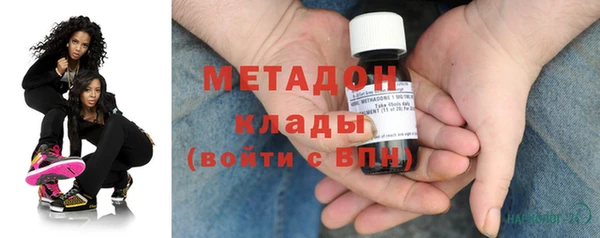 шишки Арсеньев