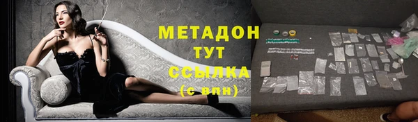шишки Арсеньев