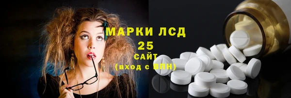 шишки Арсеньев