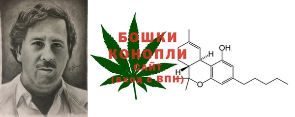трава Армянск