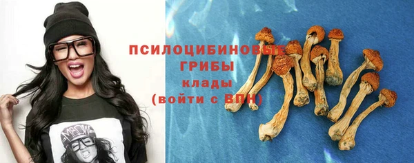прущий лед Аркадак